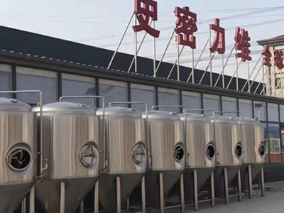 封开精酿啤酒设备厂—如何判断精酿啤酒设备的密封件需要更换？